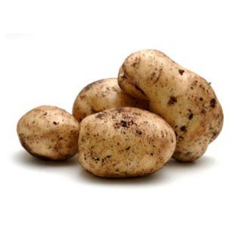 Potato Sebago Organic - 100g
