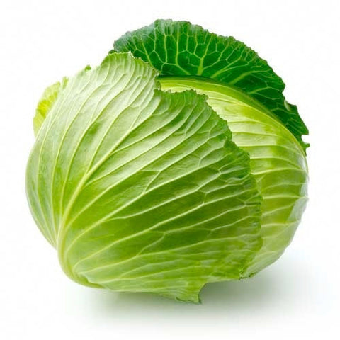 Cabbage Green Organic - Each